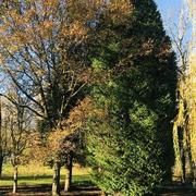 Le Chalard 24/11/2020