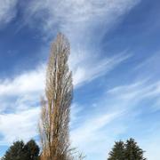 Novillars 25/11/2020