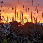 Évaux-les-Bains 25/11/2020