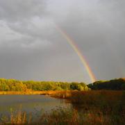 Lac du Der-Chantecoq (Marne) 28/11/2020