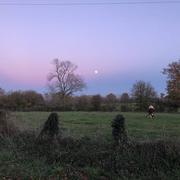 Épineu-le-Chevreuil 28/11/2020