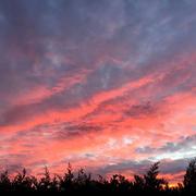 Saint-Selve 29/11/2020