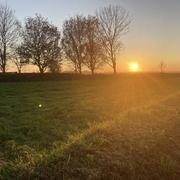 Saint-Rémy-Boscrocourt 29/11/2020