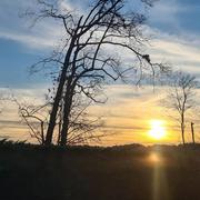 Salies-de-Béarn 30/11/2020