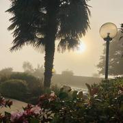 Sargé-sur-Braye 01/12/2020