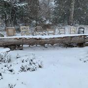 Sigolsheim 04/12/2020