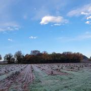 Lunel-Viel 05/12/2020