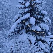 Couloubroux 05/12/2020