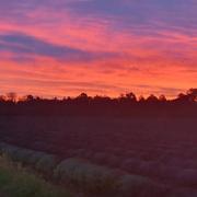 Montélimar 11/12/2020