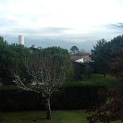 Saint-Paul-en-Born 15/12/2020