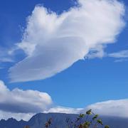 Ligne des Bambous 26/12/2020