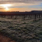 Foussignac 26/12/2020