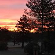 Méjannes-lès-Alès 27/12/2020