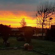 Châtenoy-le-Royal 27/12/2020