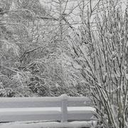 Pontgibaud 27/12/2020