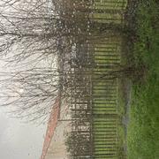 Saint-Denis-la-Chevasse 28/12/2020