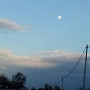 Saint-Florent-le-Vieil 28/12/2020