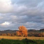 Peyrouzet 29/12/2020