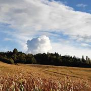 Peyrouzet 29/12/2020