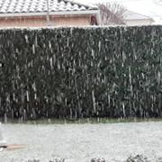 Saint-André-sur-Vieux-Jonc 30/12/2020