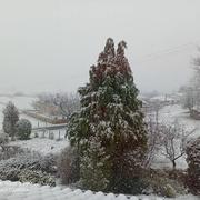 Saint-Jean-de-Bournay 30/12/2020