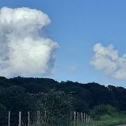 Provenchère 31/12/2020