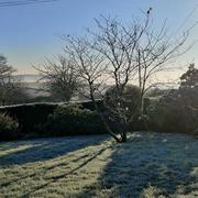 Culey-le-Patry 01/01/2021