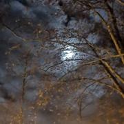 Saint-Hippolyte 01/01/2021