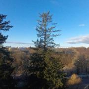 Coutances 01/01/2021