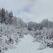 Tours-sur-Meymont 01/01/2021