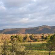 Lavilledieu 01/01/2021