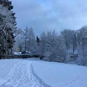 La Bastide-Puylaurent 02/01/2021