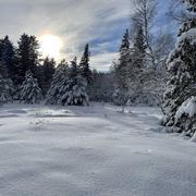 Mas De La Barque 02/01/2021