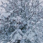 Les Payas 03/01/2021