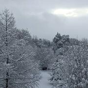 Saint-Julien-en-Champsaur 03/01/2021