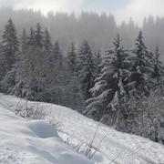 Prapoutel 04/01/2021