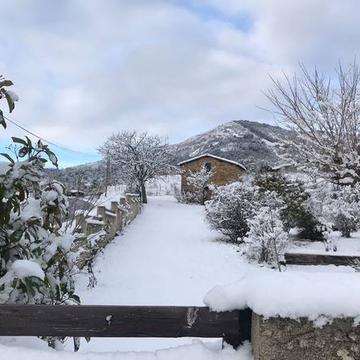 ZHMS meteocome