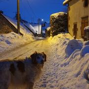 Thiaulaire 06/01/2021