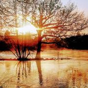 Beaulieu-sur-Dordogne 08/01/2021