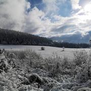 Rongere Montagne 09/01/2021