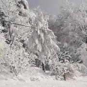 Saint-Privat-du-Fau 09/01/2021