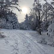 Mont Aigoual (Gard / Lozère) 10/01/2021