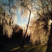 Boiry-Sainte-Rictrude 10/01/2021
