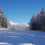 Gap Bayard 10/01/2021