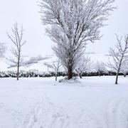 Lussan-Adeilhac 11/01/2021