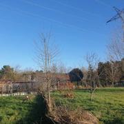 Saint-Sauveur 11/01/2021