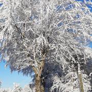 Paulhac-en-Margeride 11/01/2021