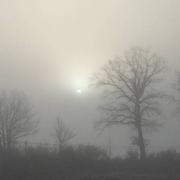 Saint-Hilaire-les-Places 12/01/2021