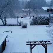 Folschviller 12/01/2021