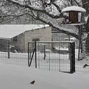 Aillevillers-et-Lyaumont 12/01/2021